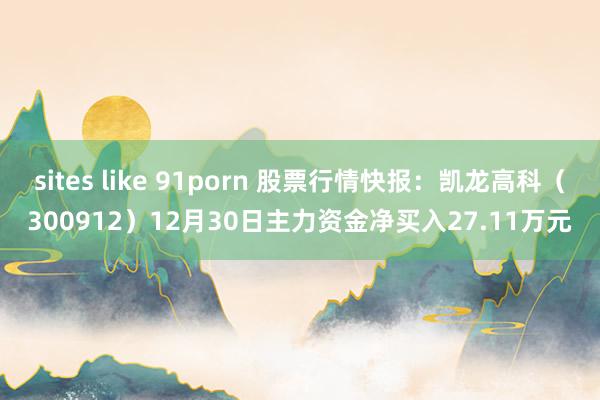 sites like 91porn 股票行情快报：凯龙高科（300912）12月30日主力资金净买入27.11万元