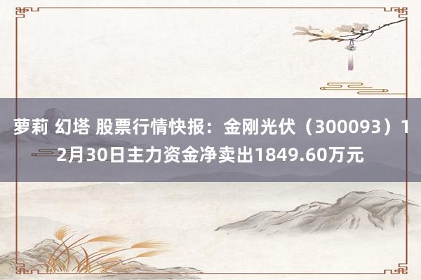 萝莉 幻塔 股票行情快报：金刚光伏（300093）12月30日主力资金净卖出1849.60万元