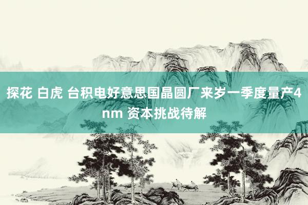 探花 白虎 台积电好意思国晶圆厂来岁一季度量产4nm 资本挑战待解