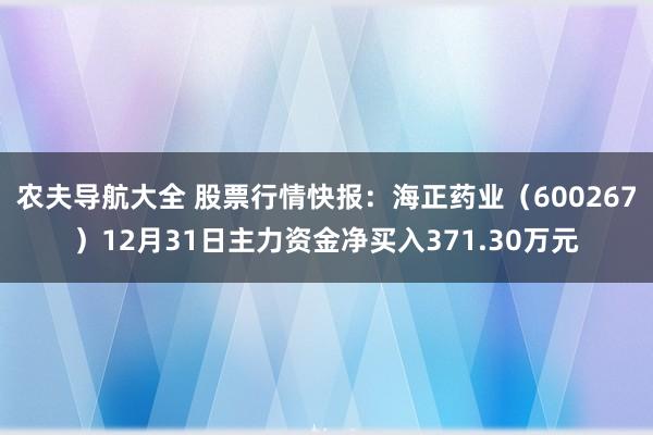农夫导航大全 股票行情快报：海正药业（600267）12月31日主力资金净买入371.30万元