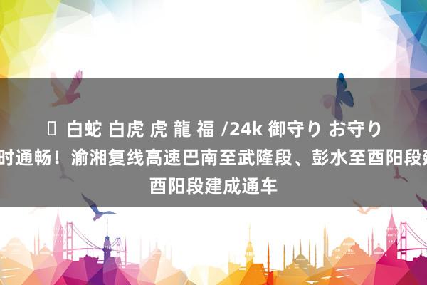 ✨白蛇 白虎 虎 龍 福 /24k 御守り お守り 本日11时通畅！渝湘复线高速巴南至武隆段、彭水至酉阳段建成通车