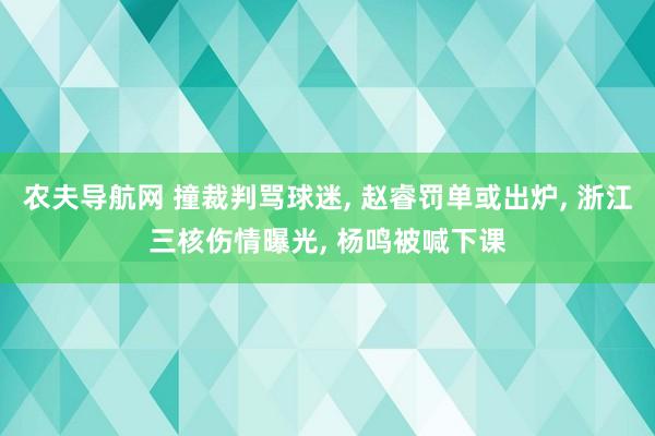 农夫导航网 撞裁判骂球迷, 赵睿罚单或出炉, 浙江三核伤情曝光, 杨鸣被喊下课