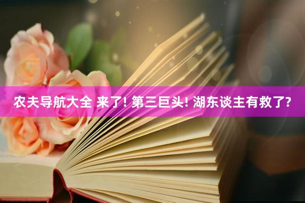 农夫导航大全 来了! 第三巨头! 湖东谈主有救了?