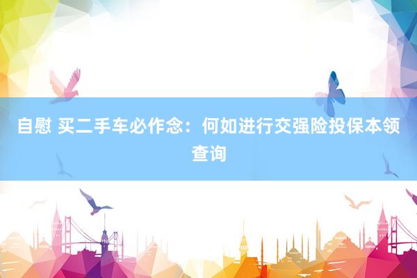 自慰 买二手车必作念：何如进行交强险投保本领查询