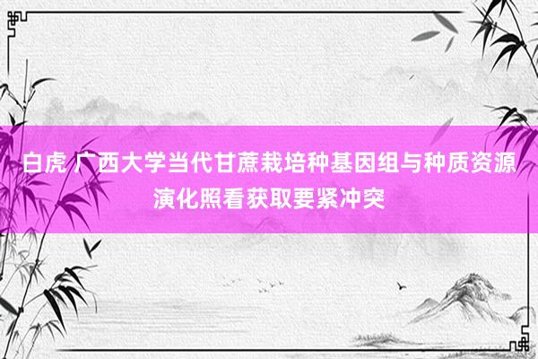 白虎 广西大学当代甘蔗栽培种基因组与种质资源演化照看获取要紧冲突