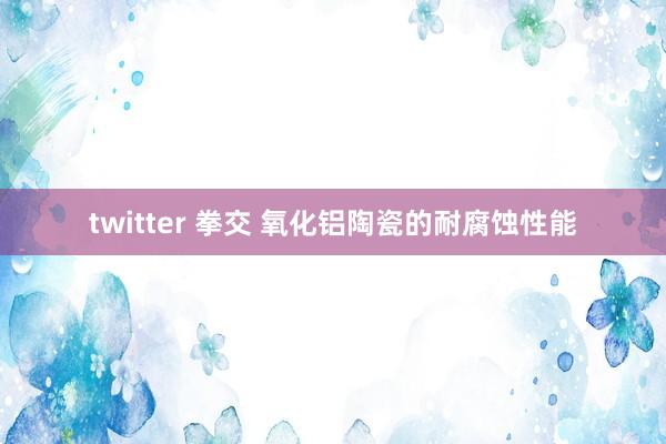 twitter 拳交 氧化铝陶瓷的耐腐蚀性能
