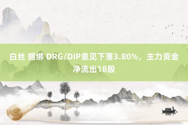 白丝 捆绑 DRG/DIP意见下落3.80%，主力资金净流出18股