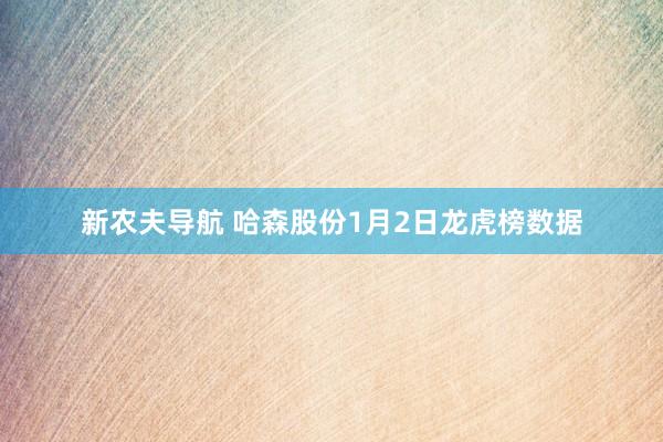 新农夫导航 哈森股份1月2日龙虎榜数据