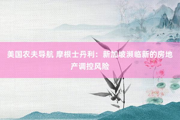 美国农夫导航 摩根士丹利：新加坡濒临新的房地产调控风险