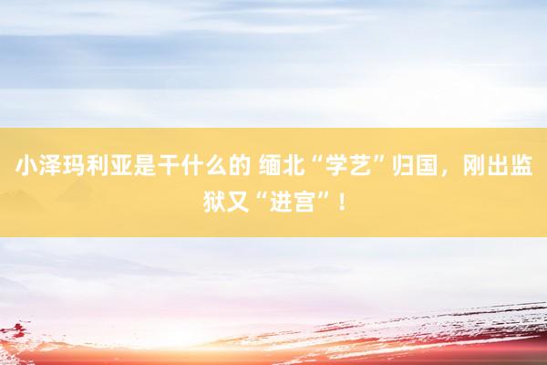 小泽玛利亚是干什么的 缅北“学艺”归国，刚出监狱又“进宫”！
