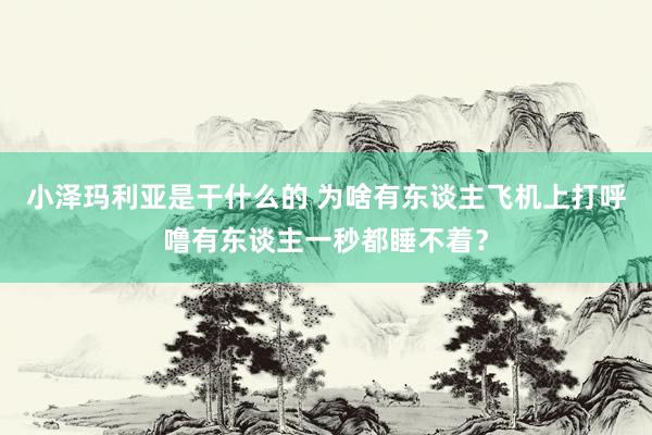 小泽玛利亚是干什么的 为啥有东谈主飞机上打呼噜有东谈主一秒都睡不着？