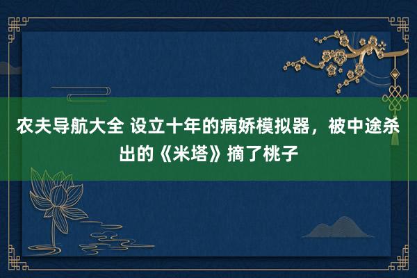 农夫导航大全 设立十年的病娇模拟器，被中途杀出的《米塔》摘了桃子
