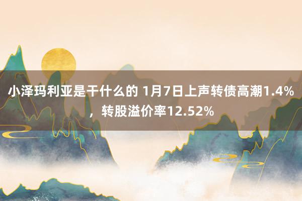 小泽玛利亚是干什么的 1月7日上声转债高潮1.4%，转股溢价率12.52%