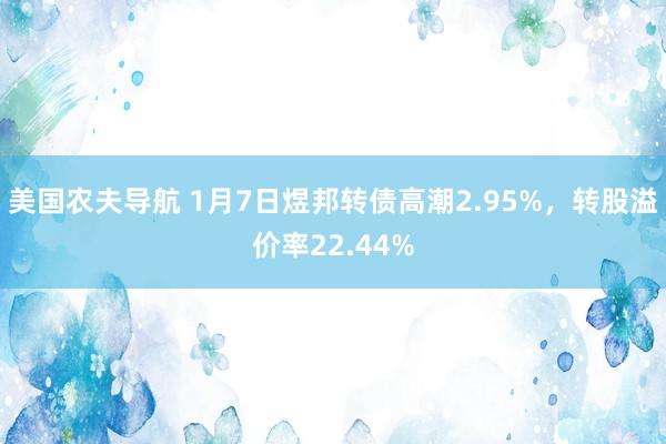 美国农夫导航 1月7日煜邦转债高潮2.95%，转股溢价率22.44%