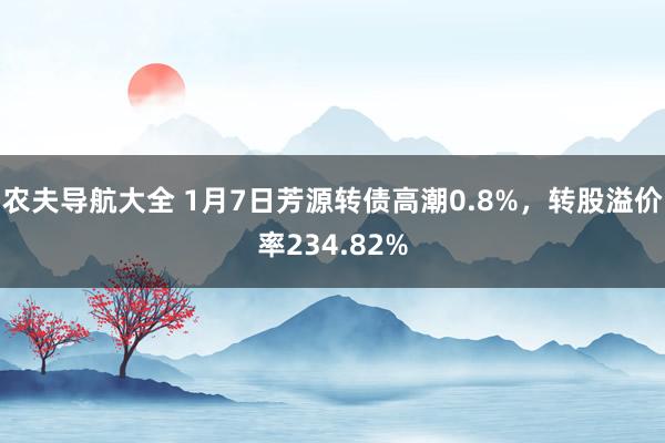 农夫导航大全 1月7日芳源转债高潮0.8%，转股溢价率234.82%