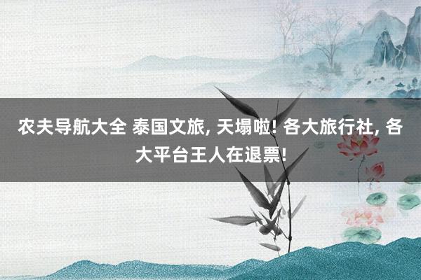 农夫导航大全 泰国文旅, 天塌啦! 各大旅行社, 各大平台王人在退票!