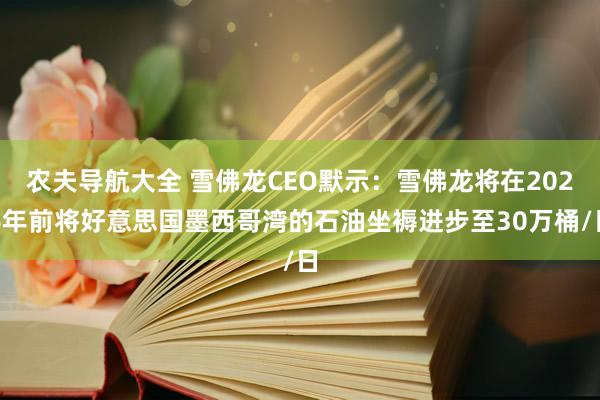 农夫导航大全 雪佛龙CEO默示：雪佛龙将在2026年前将好意思国墨西哥湾的石油坐褥进步至30万桶/日