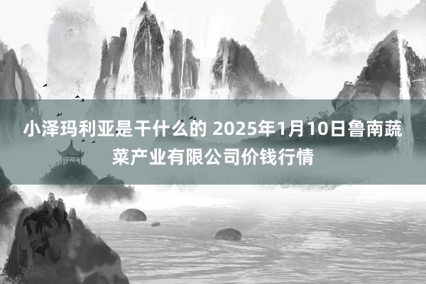 小泽玛利亚是干什么的 2025年1月10日鲁南蔬菜产业有限公司价钱行情