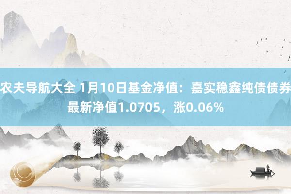 农夫导航大全 1月10日基金净值：嘉实稳鑫纯债债券最新净值1.0705，涨0.06%