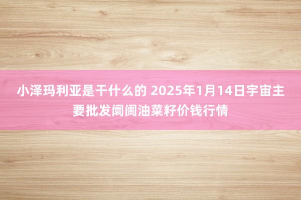 小泽玛利亚是干什么的 2025年1月14日宇宙主要批发阛阓油菜籽价钱行情