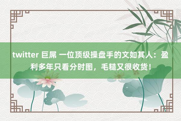 twitter 巨屌 一位顶级操盘手的文如其人：盈利多年只看分时图，毛糙又很收货！