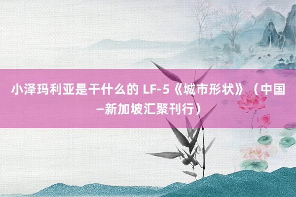 小泽玛利亚是干什么的 LF-5《城市形状》（中国—新加坡汇聚刊行）