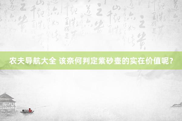 农夫导航大全 该奈何判定紫砂壶的实在价值呢？