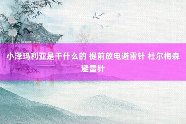 小泽玛利亚是干什么的 提前放电避雷针 杜尔梅森避雷针