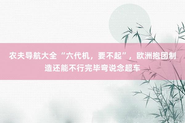 农夫导航大全 “六代机，要不起”，欧洲抱团制造还能不行完毕弯说念超车