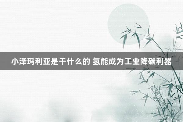 小泽玛利亚是干什么的 氢能成为工业降碳利器