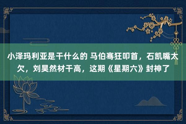 小泽玛利亚是干什么的 马伯骞狂叩首，石凯嘴太欠，刘昊然材干高，这期《星期六》封神了
