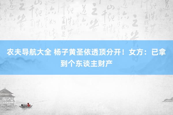 农夫导航大全 杨子黄圣依透顶分开！女方：已拿到个东谈主财产