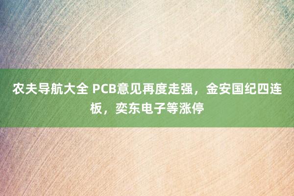 农夫导航大全 PCB意见再度走强，金安国纪四连板，奕东电子等涨停