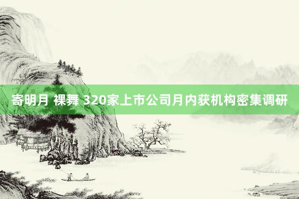 寄明月 裸舞 320家上市公司月内获机构密集调研