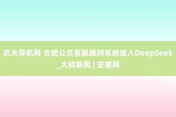 农夫导航网 合肥公交客服顾问系统接入DeepSeek_大皖新闻 | 安徽网