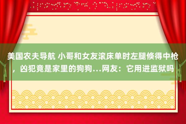 美国农夫导航 小哥和女友滚床单时左腿倏得中枪，凶犯竟是家里的狗狗…网友：它用进监狱吗