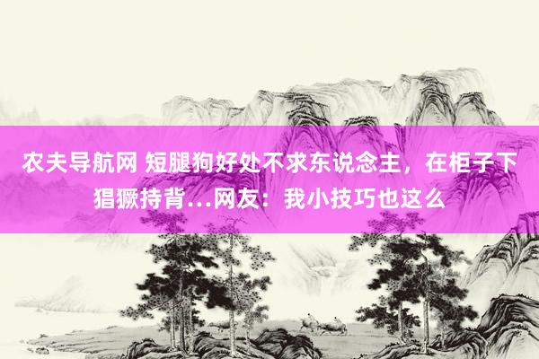 农夫导航网 短腿狗好处不求东说念主，在柜子下猖獗持背…网友：我小技巧也这么