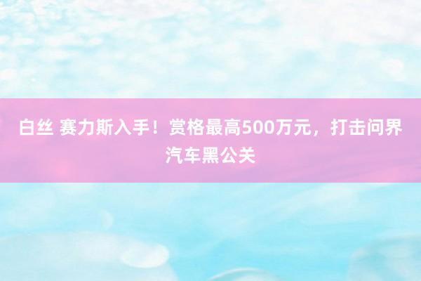 白丝 赛力斯入手！赏格最高500万元，打击问界汽车黑公关