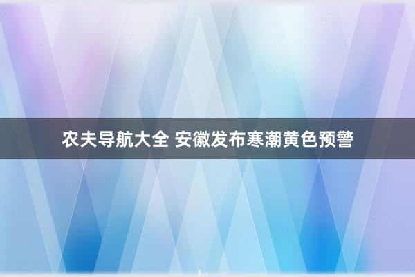 农夫导航大全 安徽发布寒潮黄色预警