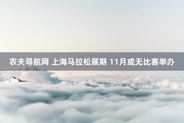 农夫导航网 上海马拉松展期 11月或无比赛举办