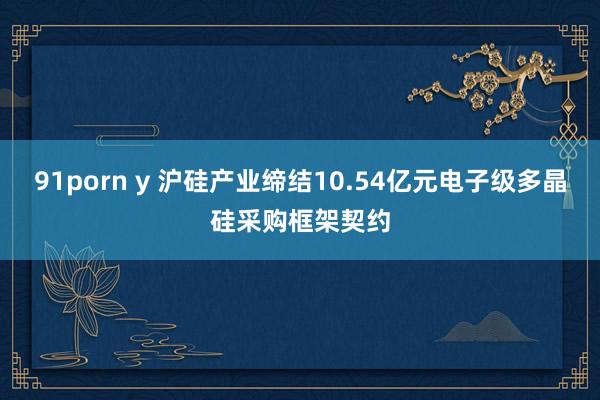 91porn y 沪硅产业缔结10.54亿元电子级多晶硅采购框架契约
