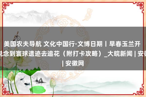 美国农夫导航 文化中国行·文博日期丨早春玉兰开 一说念到寰球遗迹去追花（附打卡攻略）_大皖新闻 | 安徽网