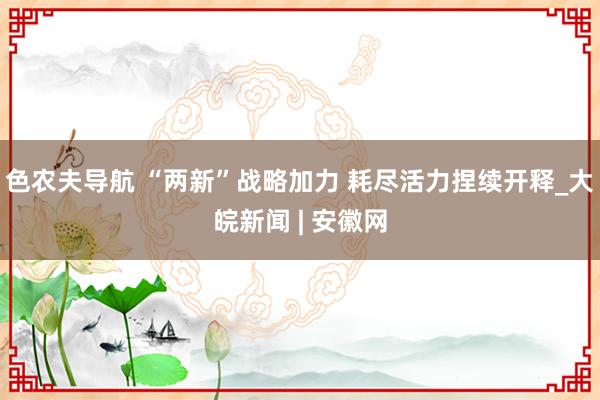色农夫导航 “两新”战略加力 耗尽活力捏续开释_大皖新闻 | 安徽网
