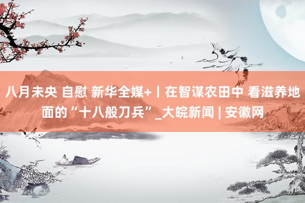 八月未央 自慰 新华全媒+丨在智谋农田中 看滋养地面的“十八般刀兵”_大皖新闻 | 安徽网