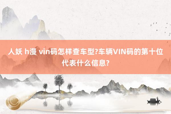 人妖 h漫 vin码怎样查车型?车辆VIN码的第十位代表什么信息?