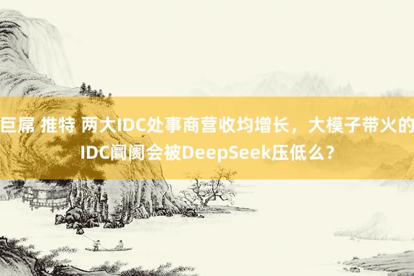 巨屌 推特 两大IDC处事商营收均增长，大模子带火的IDC阛阓会被DeepSeek压低么？