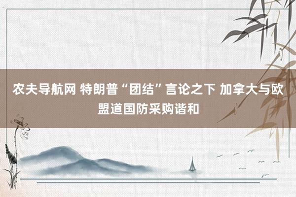 农夫导航网 特朗普“团结”言论之下 加拿大与欧盟道国防采购谐和