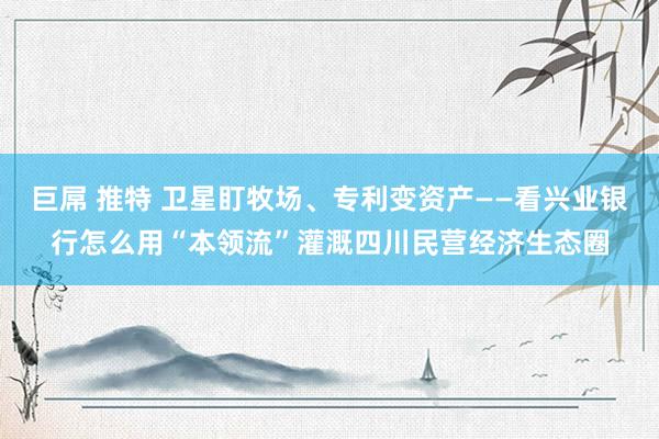 巨屌 推特 卫星盯牧场、专利变资产——看兴业银行怎么用“本领流”灌溉四川民营经济生态圈