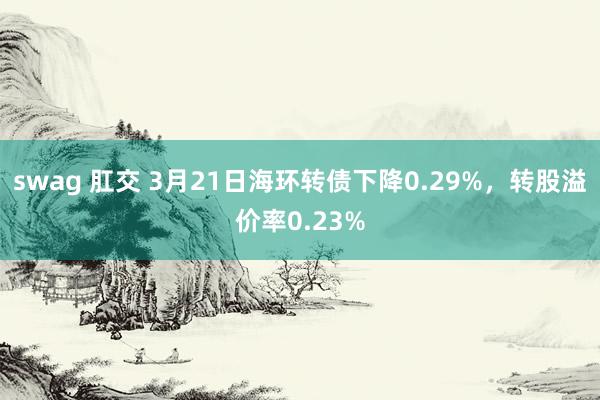 swag 肛交 3月21日海环转债下降0.29%，转股溢价率0.23%