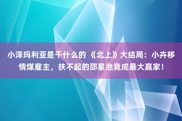 小泽玛利亚是干什么的 《北上》大结局：小卉移情煤雇主，扶不起的邵星池竟成最大赢家！